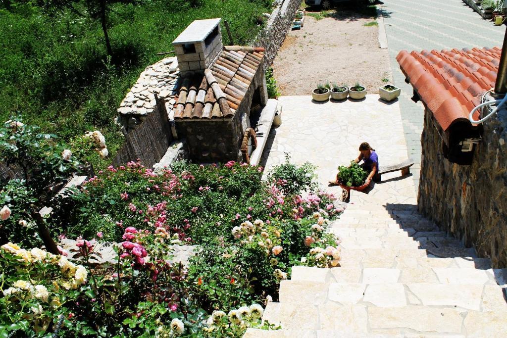 Apartments Frgacic باشْكا المظهر الخارجي الصورة